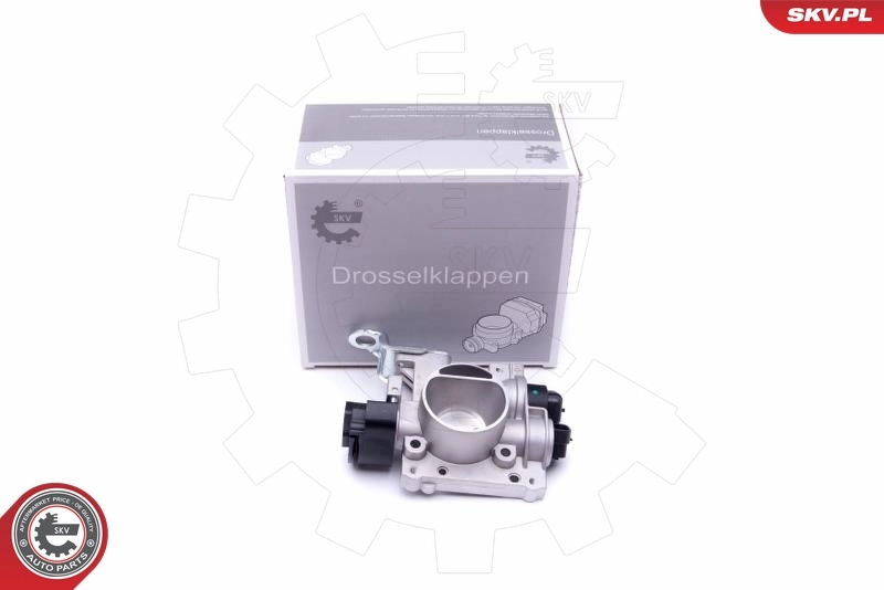 Throttle Body
